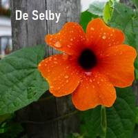 About A Year by De Selby