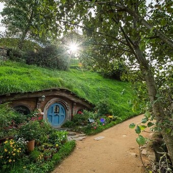 Alex Manya Queca&ntilde;o