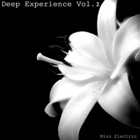 Miss Electric -  Deep Experience Vol.2 by Miss Electric