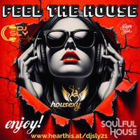 FEEL THE HOUSE by dj sly by DJ Sly - Sylvain Bourniquet