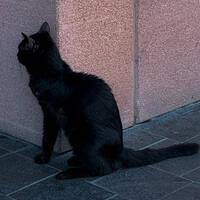 AyPalas 03.02.2025 @ ApAcik Radyo by Ay Palas