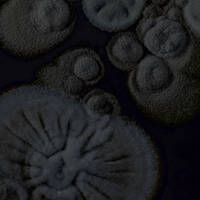 NAISA RADIO - "MUSIC, OR NOISE?" BROADCAST 62 by Bepi Crespan