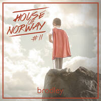 House Of Norway #11 by Bradley
