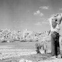 Mastru Petru, Mastru Petru! by eZ