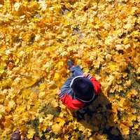 Yellow Leaves by Maze Soundz
