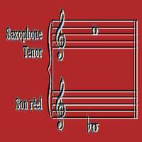 Sax Uno by Gérard Delassus