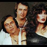 Disco Freshest by Disco Internet