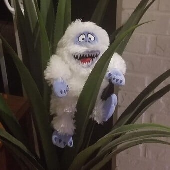 Kegan "Wildman" Windle