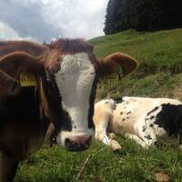 See you later# by Basteln