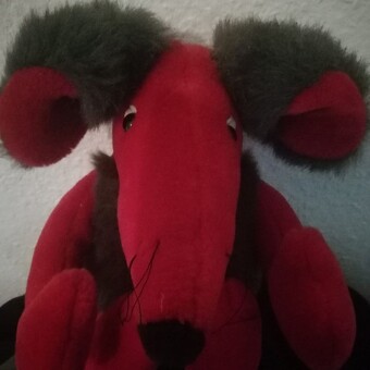 Javier Prol Ome&ntilde;aca