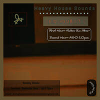 Heavy House Sounds 044 [Friends Through Music Pt.3] - second hour by AfrO LOpez by Djy Nation the Mixer
