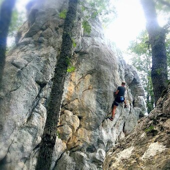 Giambattista Titto Guglielmi