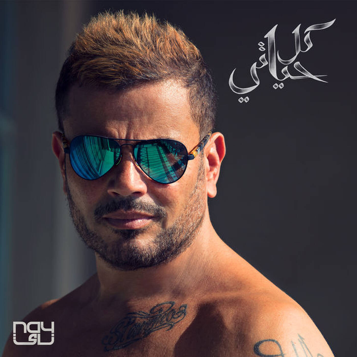 Amr Diab - Kol Hayaty episode artwork