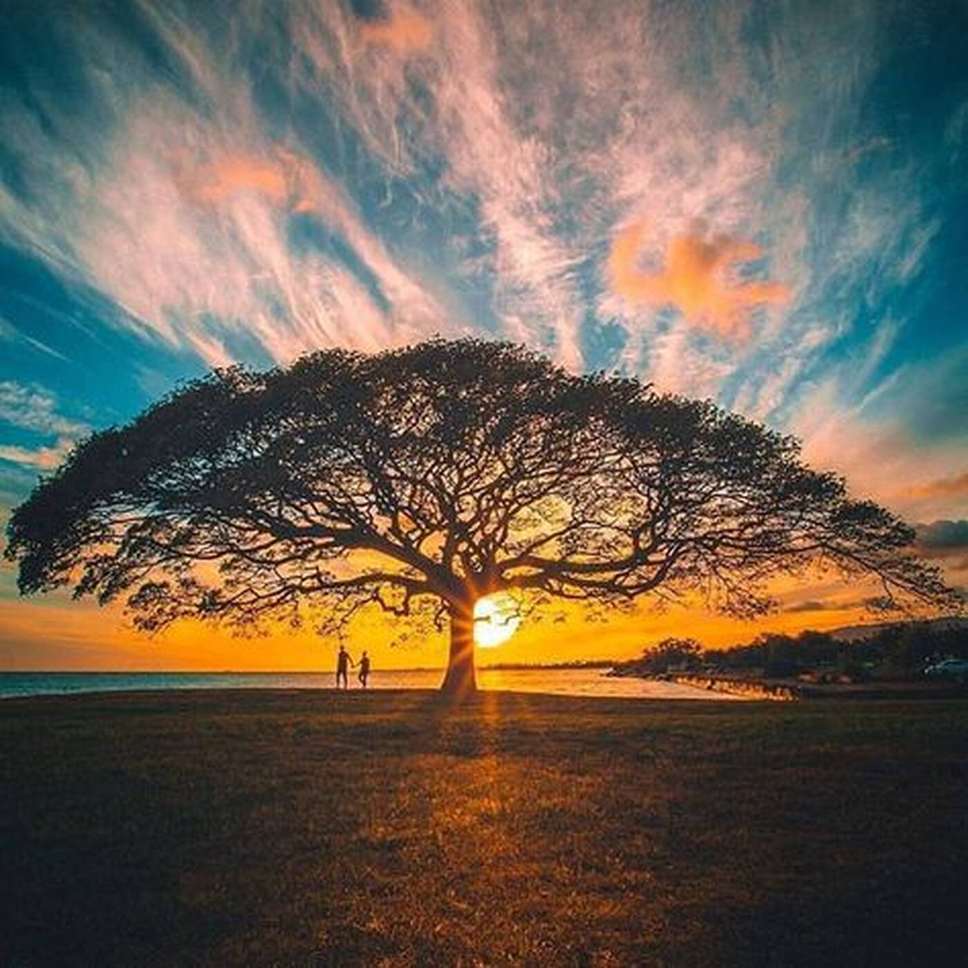 Alvorada (Organic House 110 BPM) — Nathan Lima cover