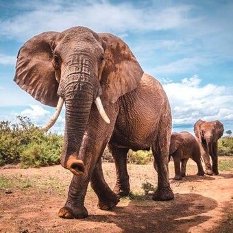 Yeison Luna CHavarriga