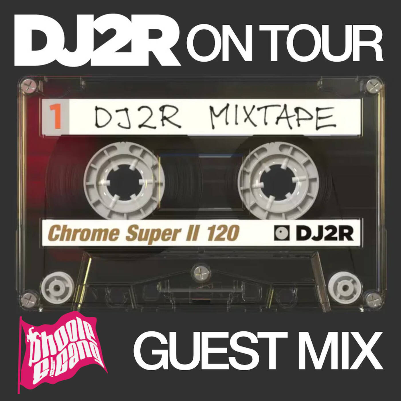 DJ2R on Tour! Phoole and the Gang 463 episode artwork