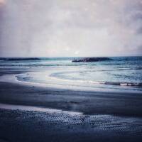 My lady's breast - Portrait of an invisible