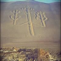 Nåzckå≈ by Dmitry Dimdim