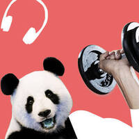 BODY LANGUAGE by djsurfista