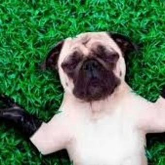 Joan Guill&eacute;n Fern&aacute;ndez