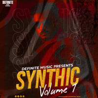 Chaiya Chaiya (Remix) -Definite Music | Synthic Volume 1 by Definite Music