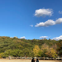 2024 Autumn FUNKOT DJ mix by Talo by Talo Kirishima