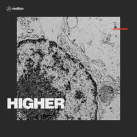 higher by NGRYMN