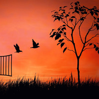 Soulful House Show 2022-10-02 by Dj TuXxL