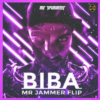 BIBA - Mr Jammer Flip by Bollywood DJs Club