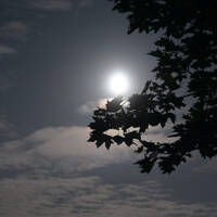 Spektrum Wiese #54 - feat. Herr Bonnet (28.03.2012) by Slow Pete