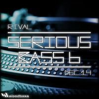 rival - serious bass part 6 (december 2014) by rival