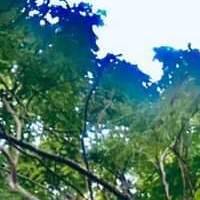 Heal Your Soul Wintermixtape (Dakros_SA) production mix by Dakros SA