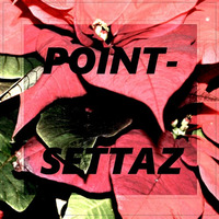 Point Settaz feat Monty by Ben Chemikal