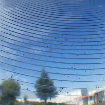 Cdrico P&Atilde;&copy;p&Atilde;&copy;Ap&Atilde;&copy;roni Petoni