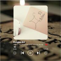 Knight SA - DSS VOL.114 MIX B (TRIP TO PV LIFESTYLE II) by Knight SA