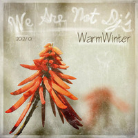 Downtempo (Warm Winter) by We Are Not Dj's