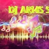 DJ Ari&amp;#039;s style