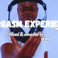 The Don's Eargasm Experience Vol.16 (birthday Edition (1) by Eargasm Experience
