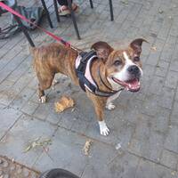 Podcast 15 African Music by LE MATOU