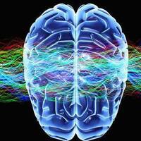 EL PENSAMIENTO V.2.1 by M3tator Composer