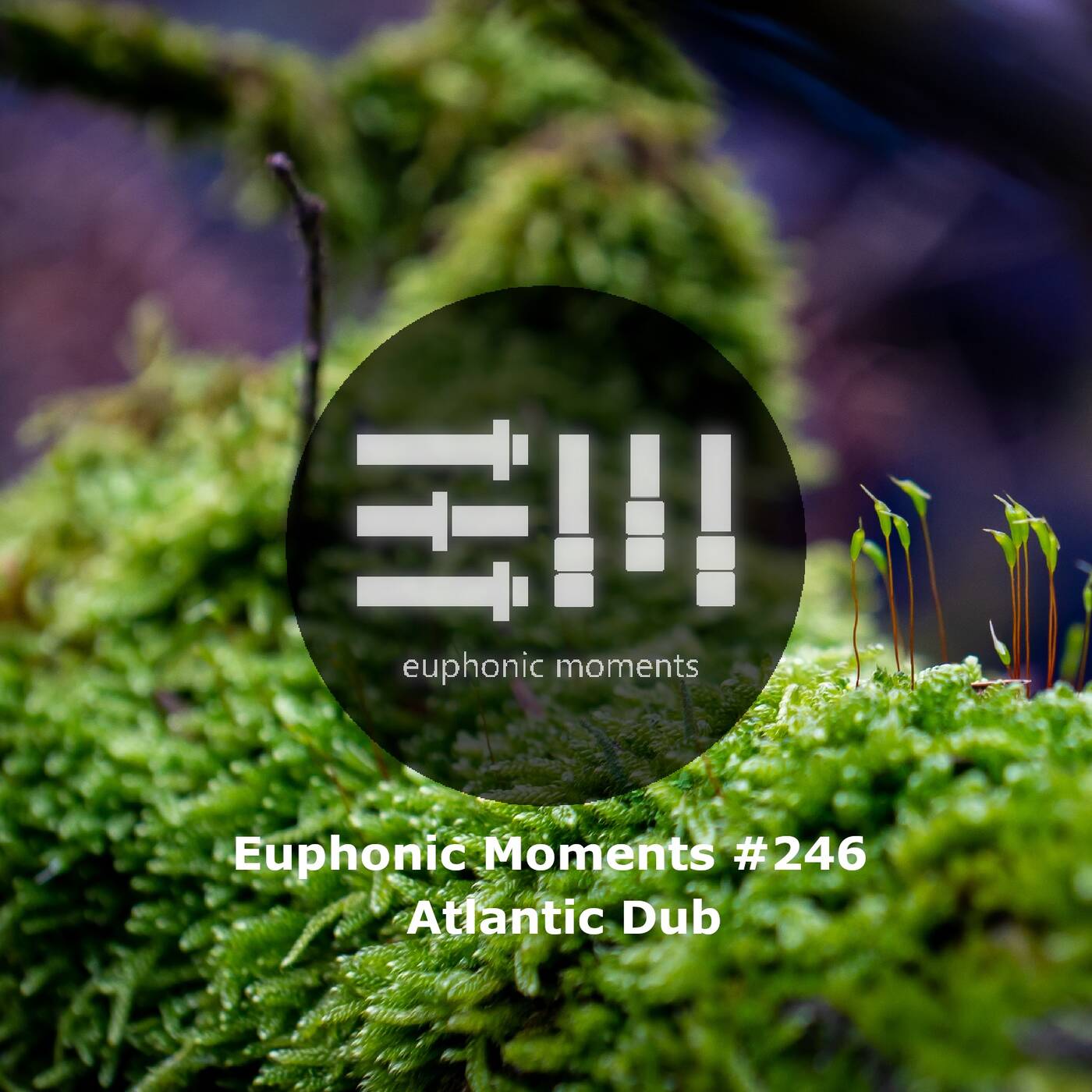 Euphonic Moments # 246 Atlantic Dub episode artwork