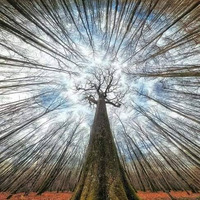 bonobo - ESSENTIAL mix 2014, [2014-04-12]BBC radio 1 #bonobo by hector heathcote