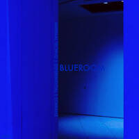 Blueroom by Harlemoverdrive