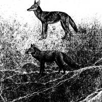 Mix 148 - Goodnight gravity before you forget by BrotherHexx