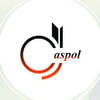 Dj Caspol