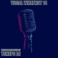 VOCAL WHATNOT 14 - TSHEPO DJ by Stixx Sounds Live Sessions