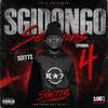 Sgitts