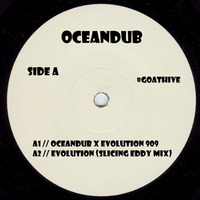 Evolution 909 by OceanDub