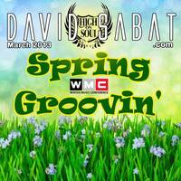 Spring Groovin' (WMC: March 2013) by David Sabat
