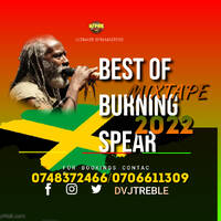 Reggae mix,s